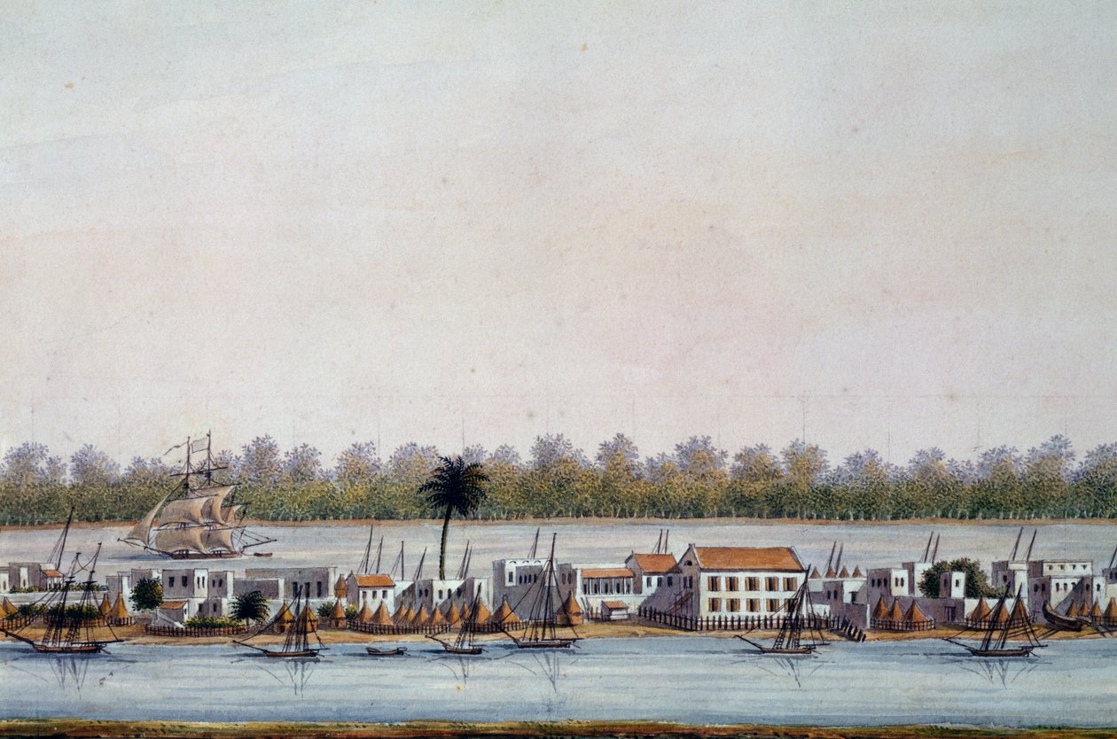 Näkymä St Louisiin, Senegaliin tekijältä William Walcutt