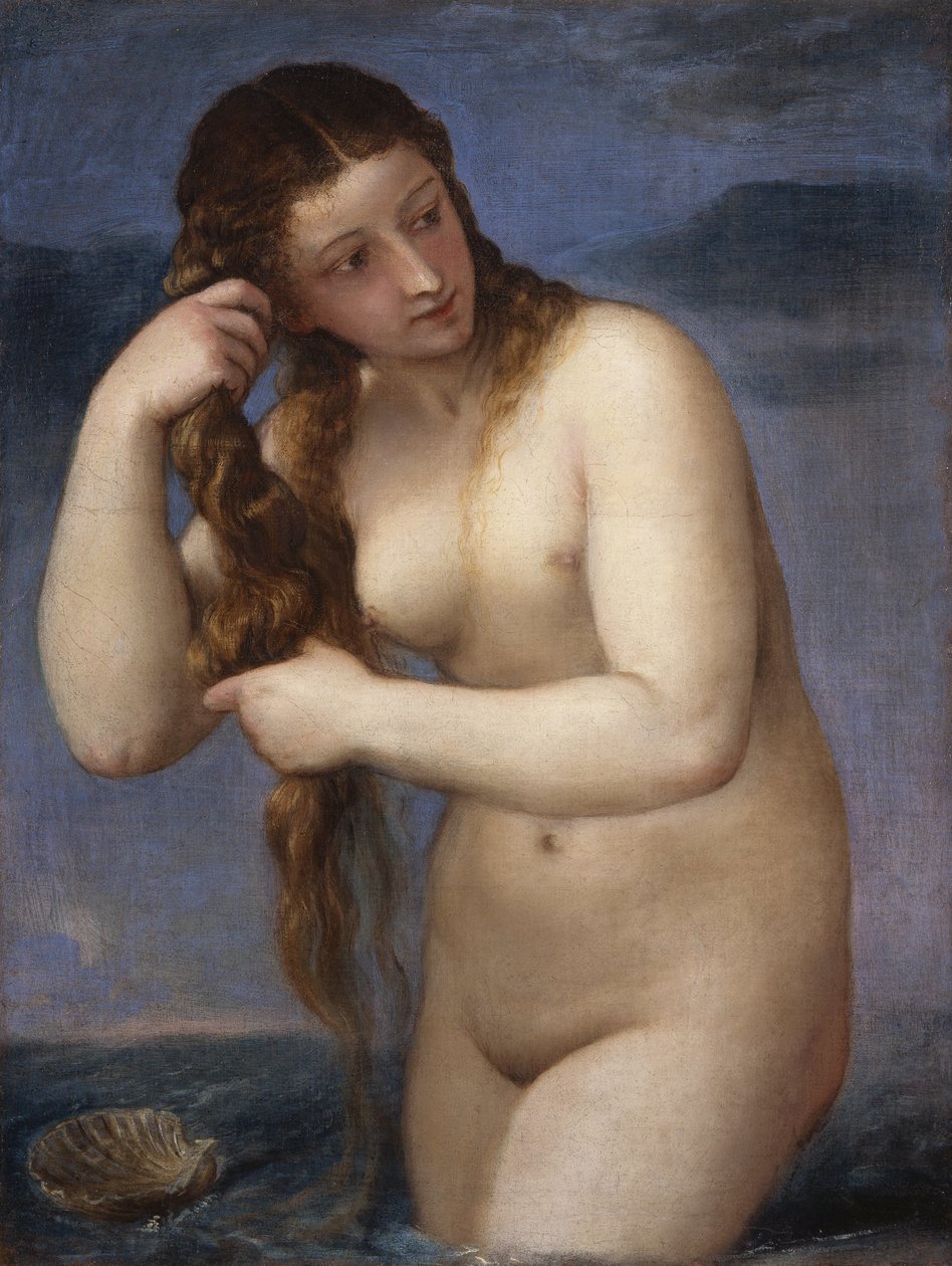 Venus Anadyomene tekijältä Tiziano Vecelli