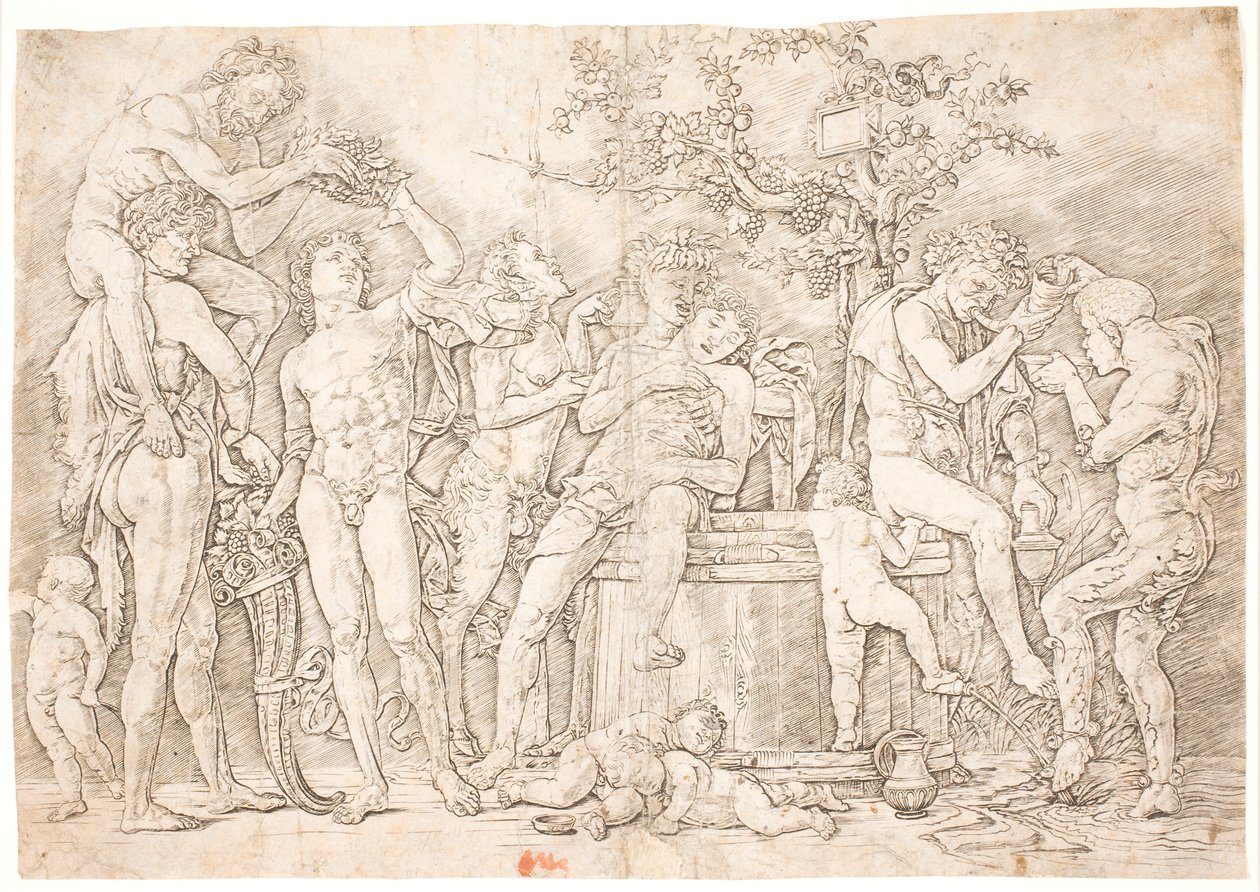 Takakanava viinitynnyrissä tekijältä after Andrea Mantegna