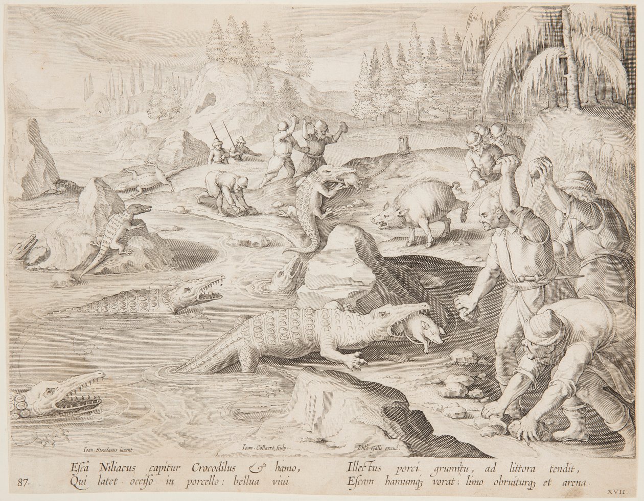Krokotiilin metsästys tekijältä after Jan van der Straet, called Stradanus