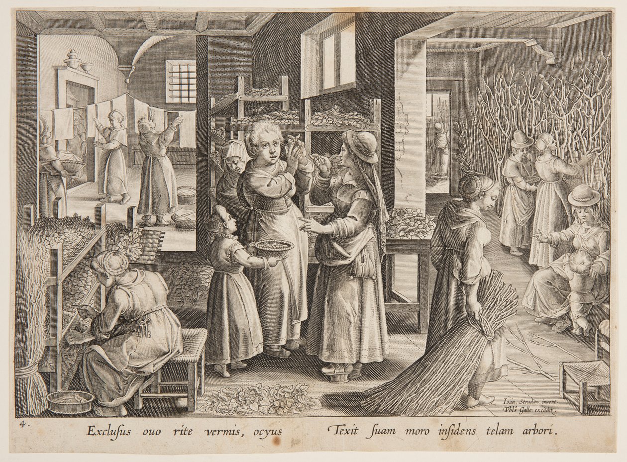 Mulperipuun lehtien ruokinta silkkiäistoukeille tekijältä after Jan van der Straet, called Stradanus