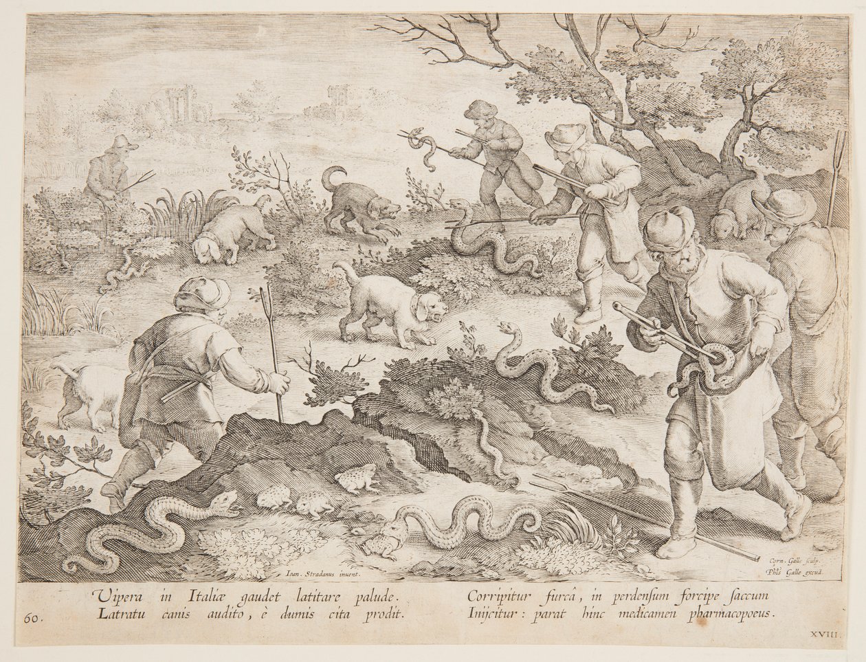 Käärmeiden metsästys tekijältä after Jan van der Straet, called Stradanus