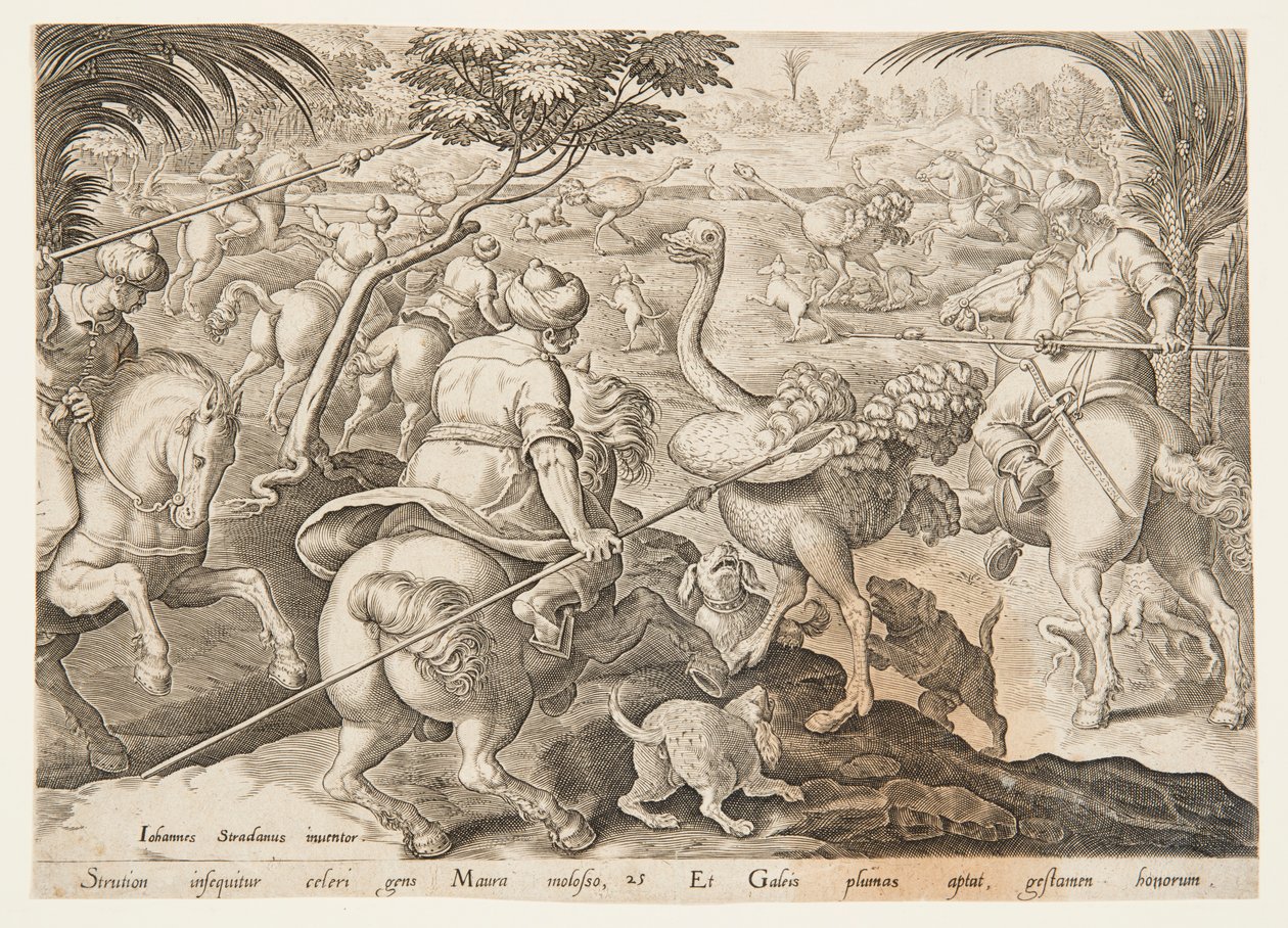 Strutsin metsästys tekijältä after Jan van der Straet, called Stradanus