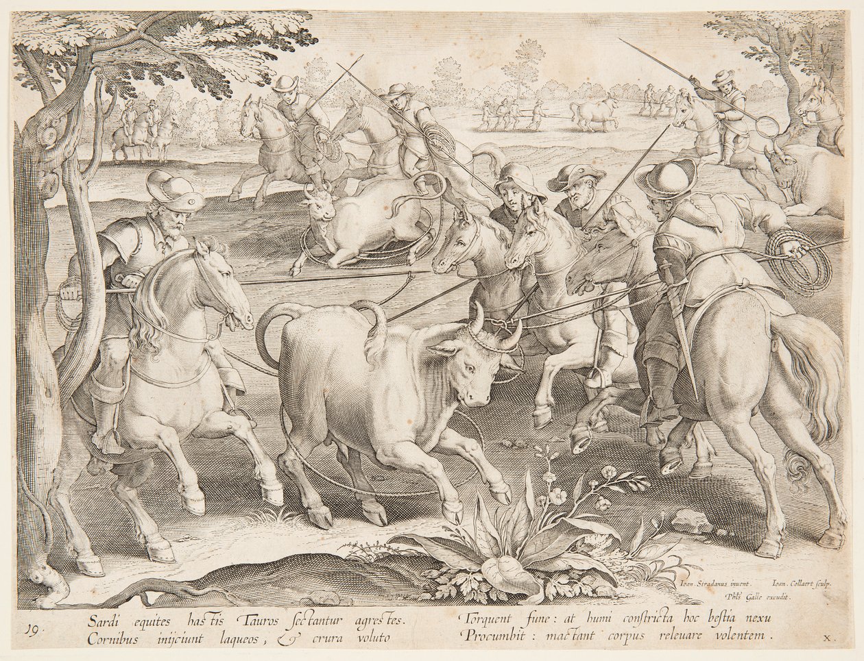 Villien härkien pyydystäminen tekijältä after Jan van der Straet, called Stradanus