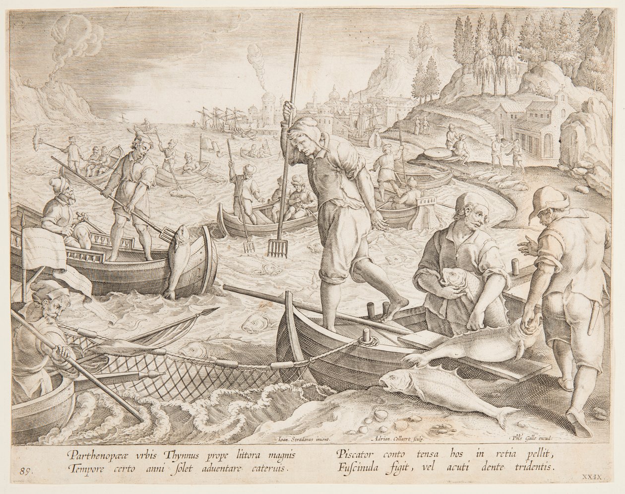 Tonnikalan kalastus tekijältä after Jan van der Straet, called Stradanus