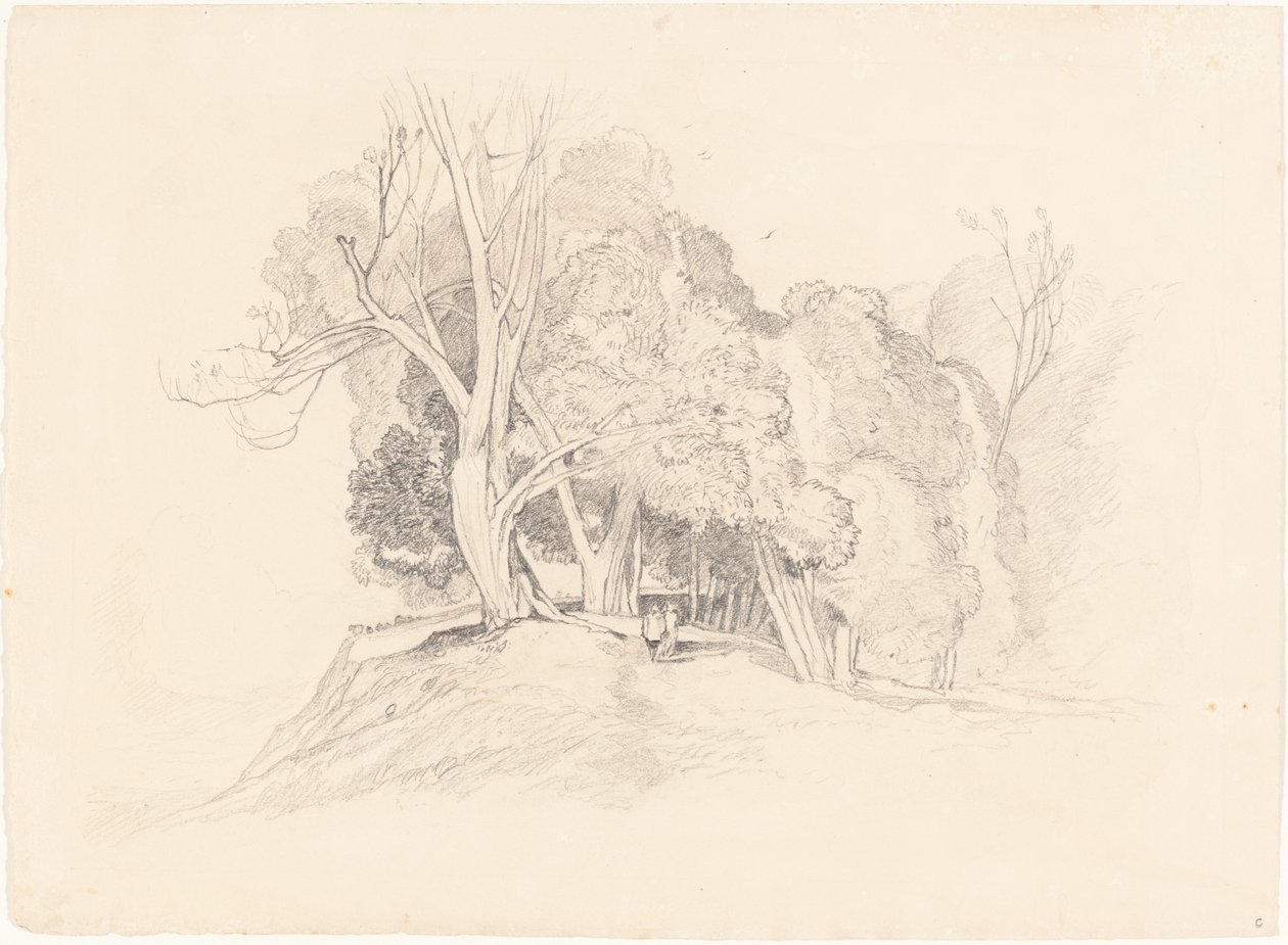 Maisema puiden kanssa tekijältä after John Sell Cotman British 19th Century