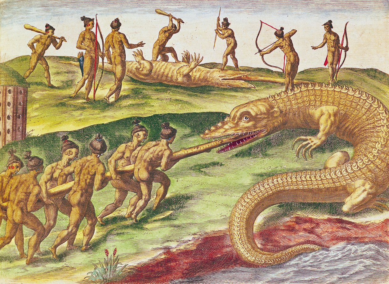 Metsästyskrokotiileja, "Brevis Narratiosta...", julkaisija Theodore de Bry, 1591, (värikaiverrus) tekijältä after Le Moyne, J.Bry