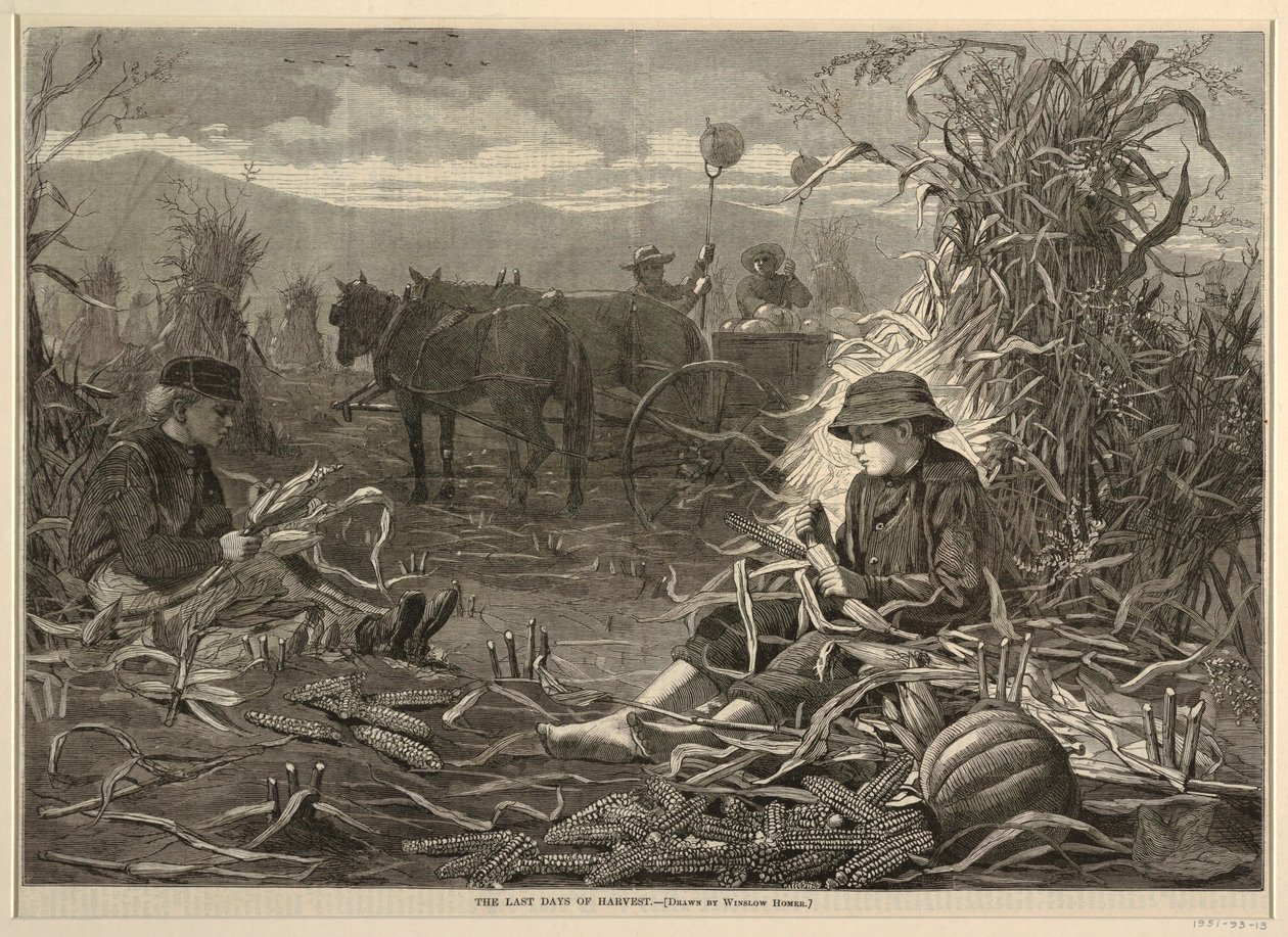 The Last Days of Harvest, Harper