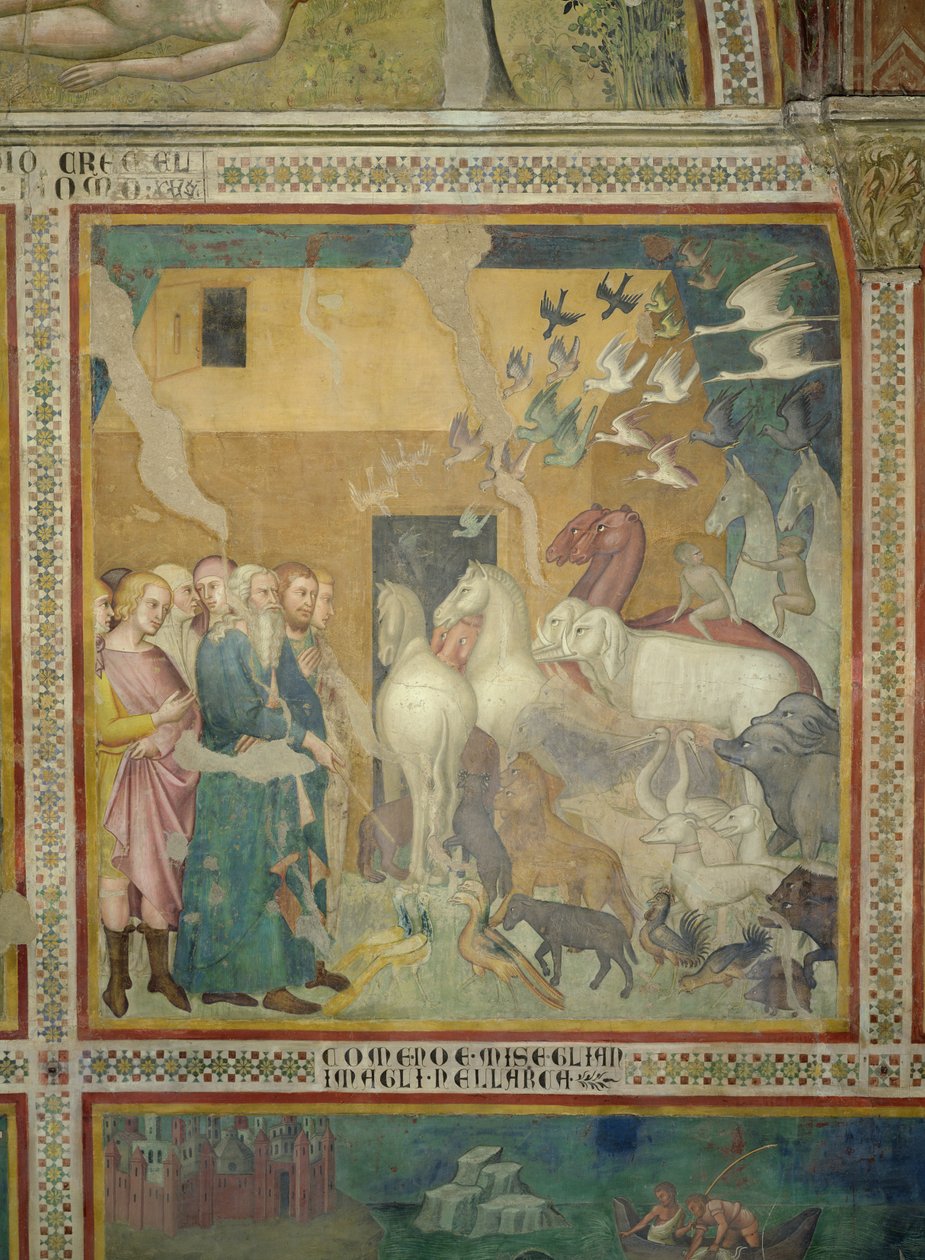 Nooa johdattaa eläimiä arkkiin, 1356-67 (katso myös 59303) tekijältä also Manfredi de Battilori Bartolo di Fredi