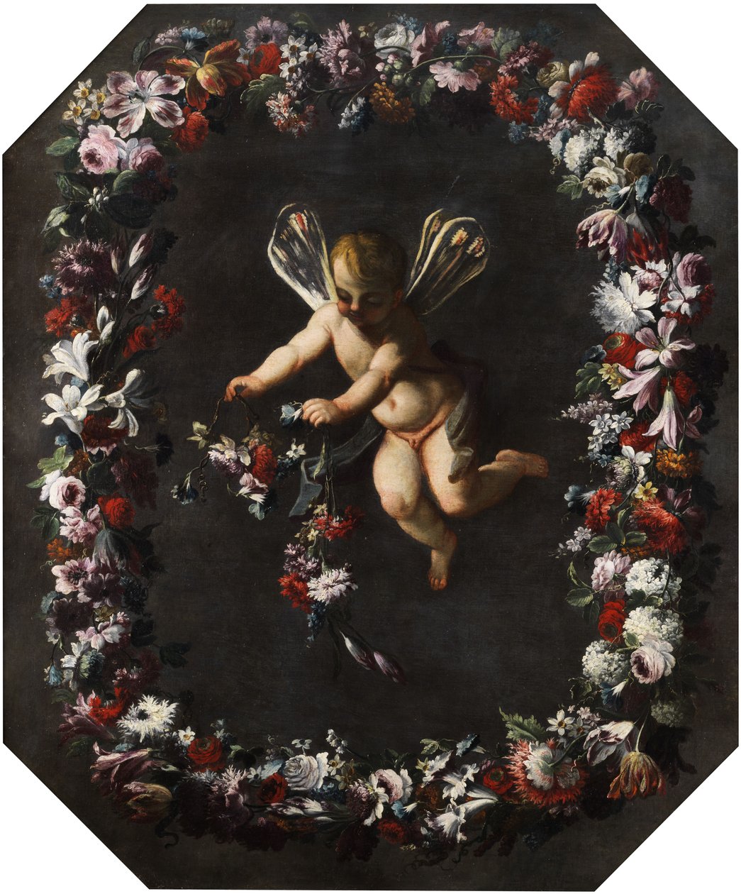 Putto mit Libellenflügeln im Blütenkranz. Öl auf Leinwand. 191 x 161 cm tekijältä attributed to Giovanni Stanchi Dei Fiori