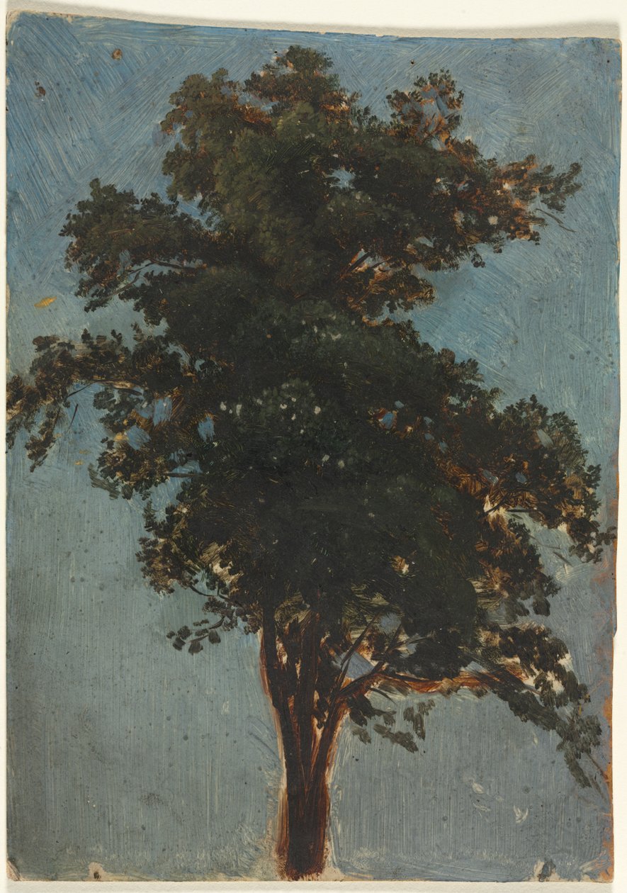 Puututkimus tekijältä attributed to Alexandre Calame