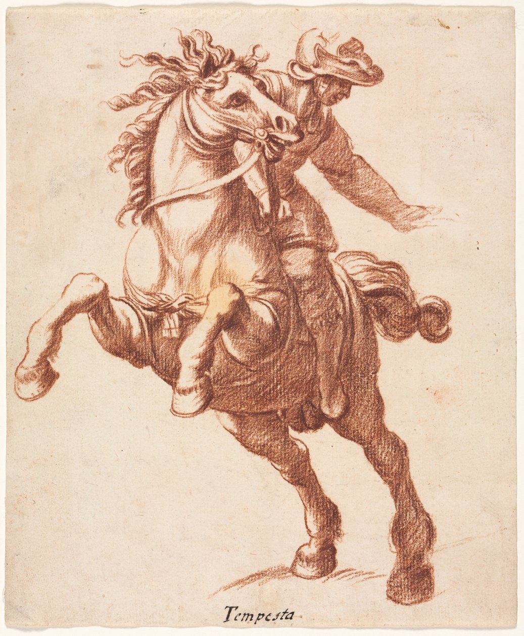 Hevosen ja ratsastajan kasvatus tekijältä attributed to Antonio Tempesta