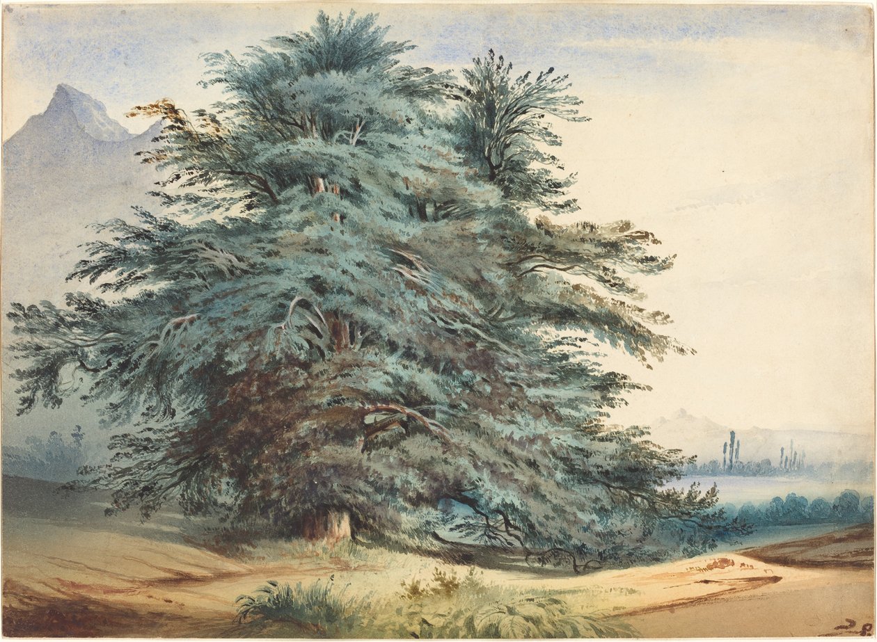 Kaksi vanhaa puuta ennen vuorenhuippua tekijältä attributed to Jules Dupré