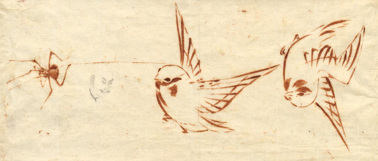 Luonnossivu linnuilla ja hämähäkillä tekijältä attributed to Katsushika Hokusai