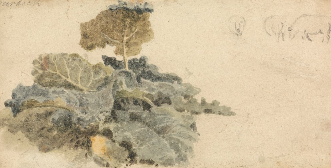 Takiaisten tutkimus tekijältä attributed to Peter DeWint