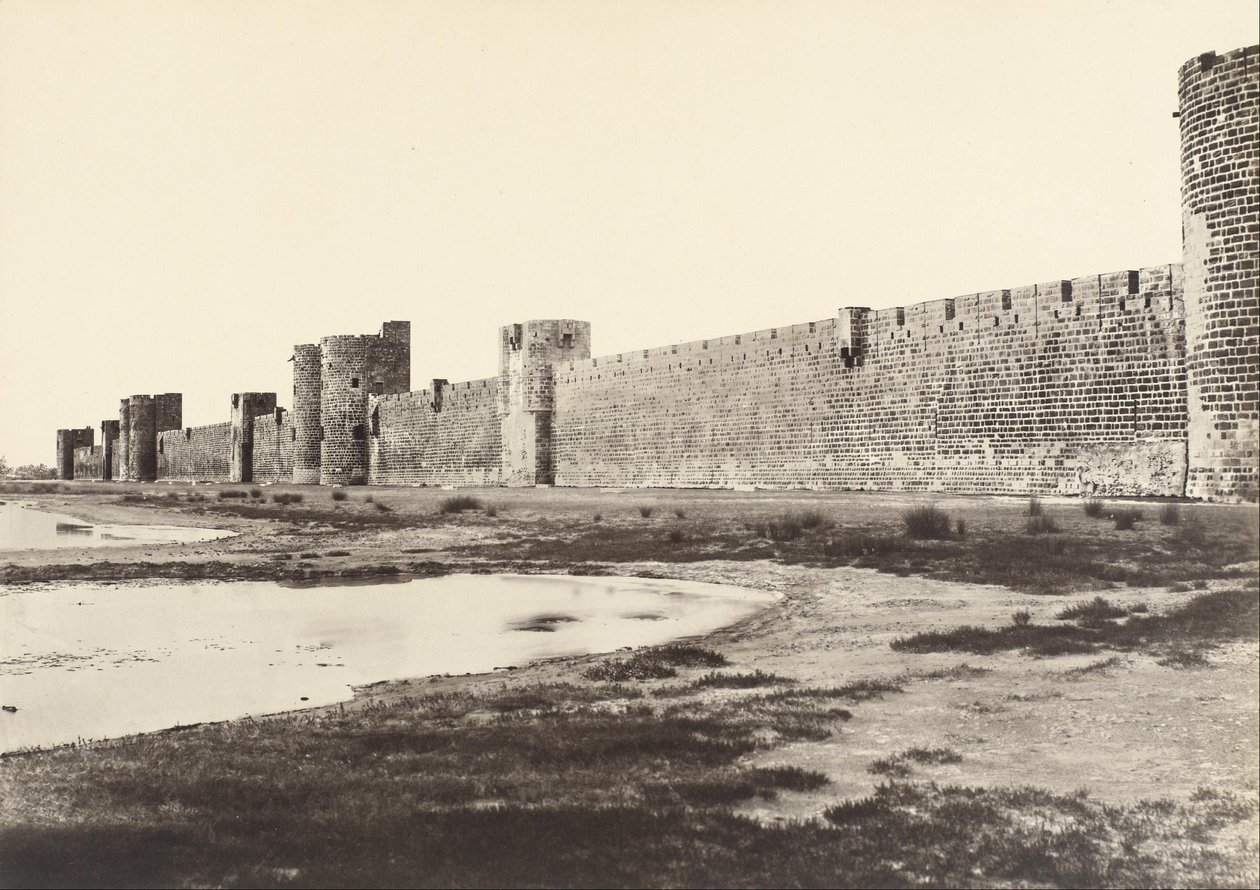 Aigues-Mortes tekijältä Edouard Denis Baldus