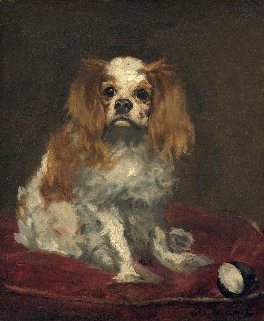 King Charles Spaniel tekijältä Édouard Manet