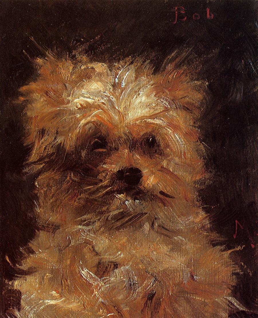 Bob, Chien Griffon tekijältä Édouard Manet