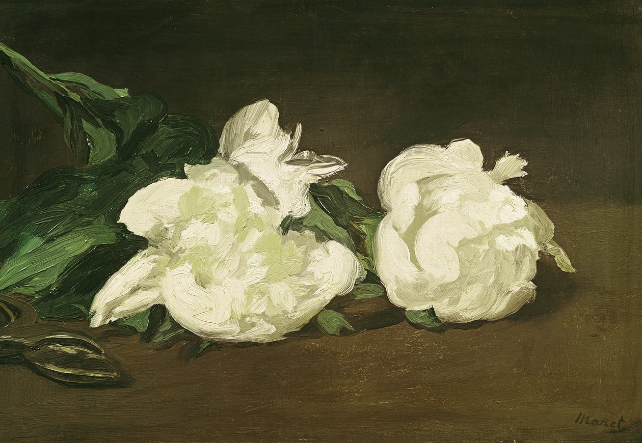 Valkoisten pionien ja saksien haara, 1864 tekijältä Édouard Manet