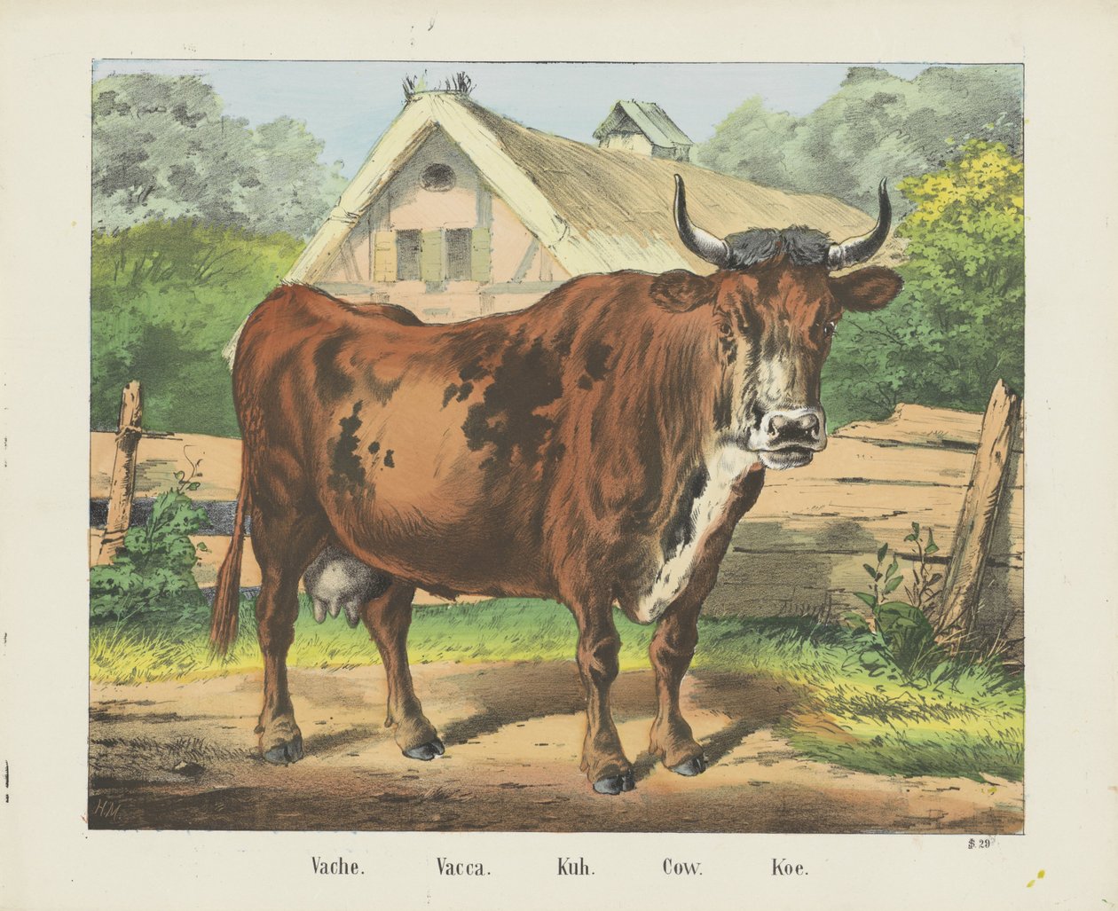 Vache. / Vacca. / Kuh. / Lehmä. / Koe (otsikko esineessä) tekijältä firma Joseph Scholz