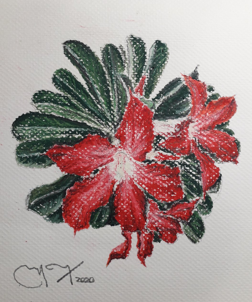 FLOR DEL DESIERTO tekijältä miguelmendez_art.ve