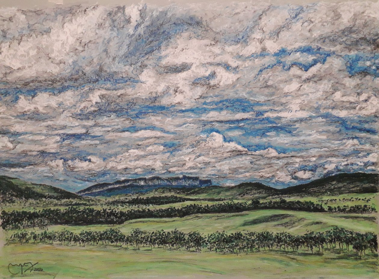 LA GRAN SABANA VENEZUELA tekijältä miguelmendez_art.ve