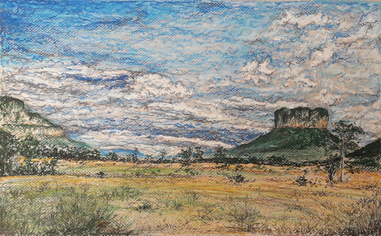 LA GRAN SABANA VENEZUELA tekijältä miguelmendez_art.ve