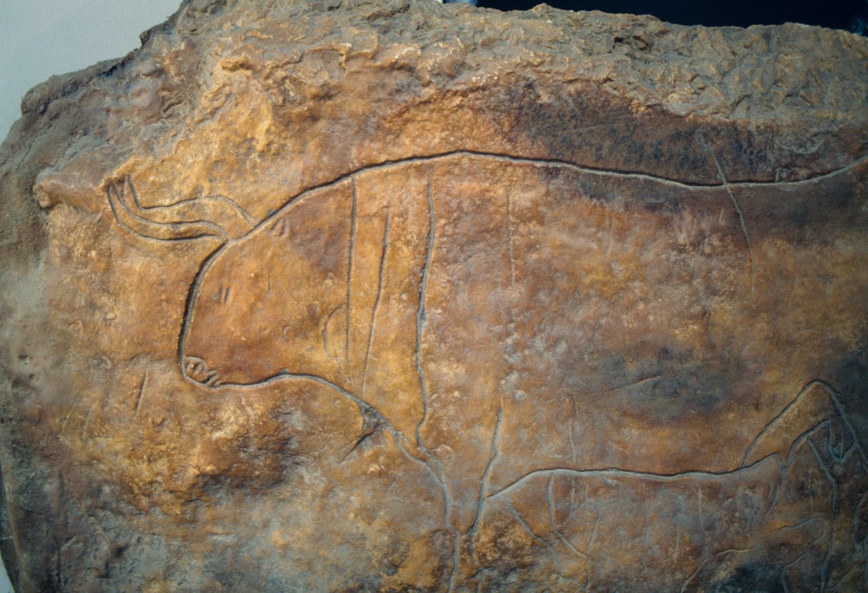 Härkää kuvaava graffito. Muinainen kreikkalainen sivilisaatio, Magna Graecia tekijältä Theodore Charles Ange Coquelin