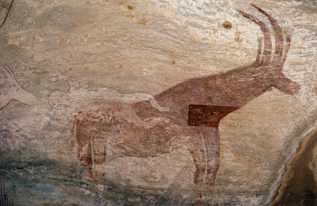Sorkkaeläin, luolamaalaus, Sephar, Tassili n