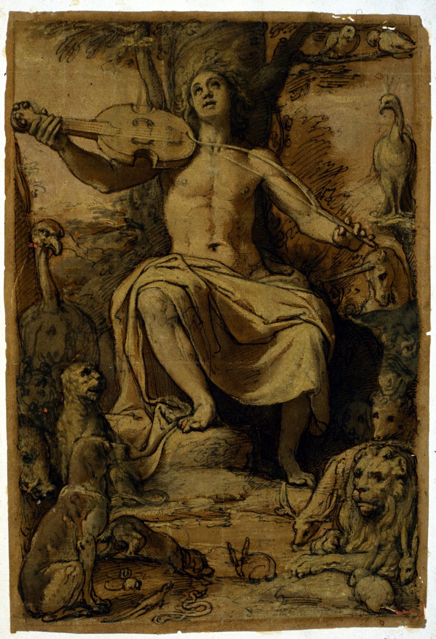 Orpheus lumoaa eläimiä viulun musiikilla. Piirustus Federico Zuccari (1542 - 1609). tekijältä or Zuccaro Federico Zuccari