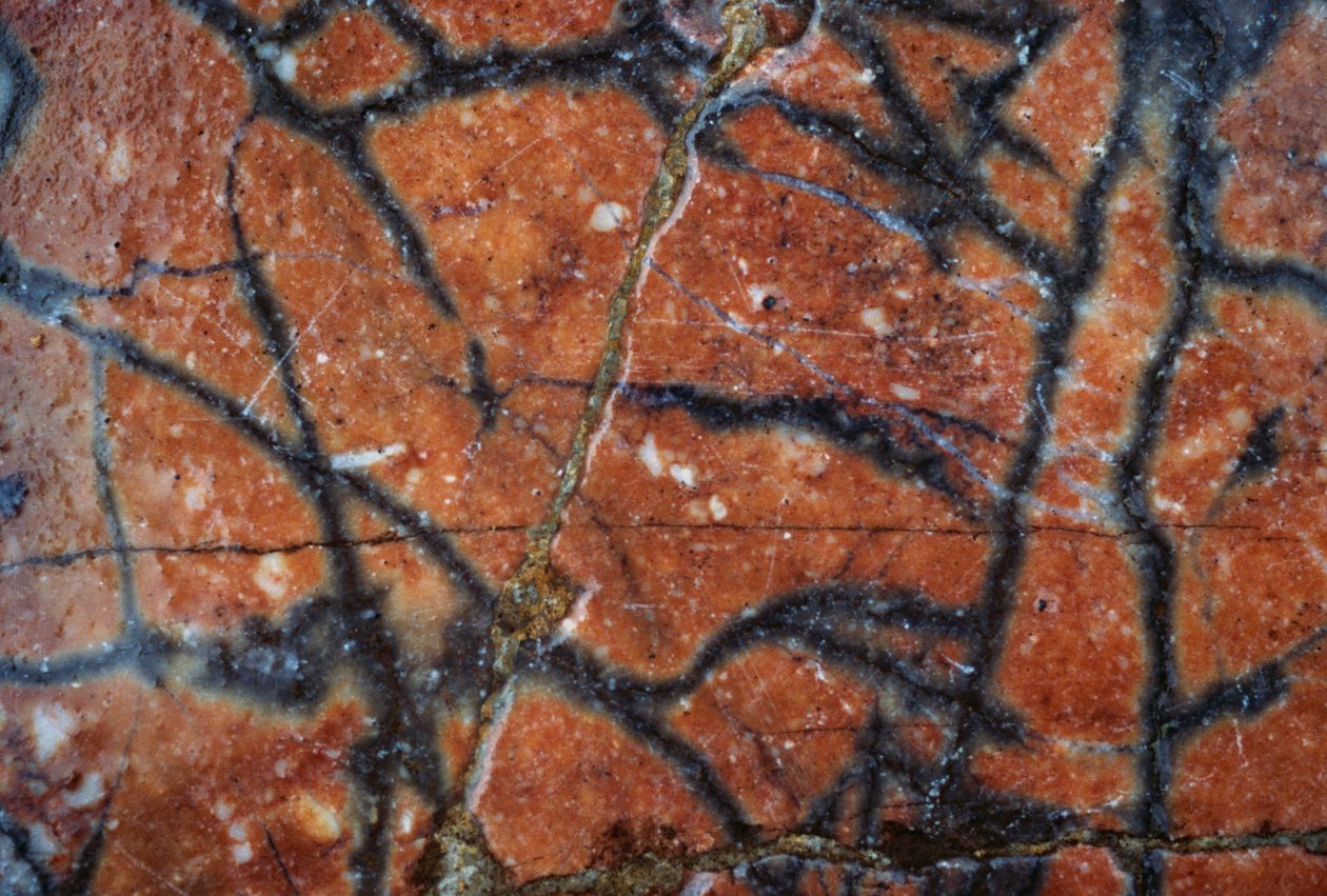 Marmorilattia, yksityiskohta, Hadrianuksen huvila, 2. vuosisadalla jKr, Tivoli, Lazio, Italia (kuva) tekijältä Unbekannt Unbekannt