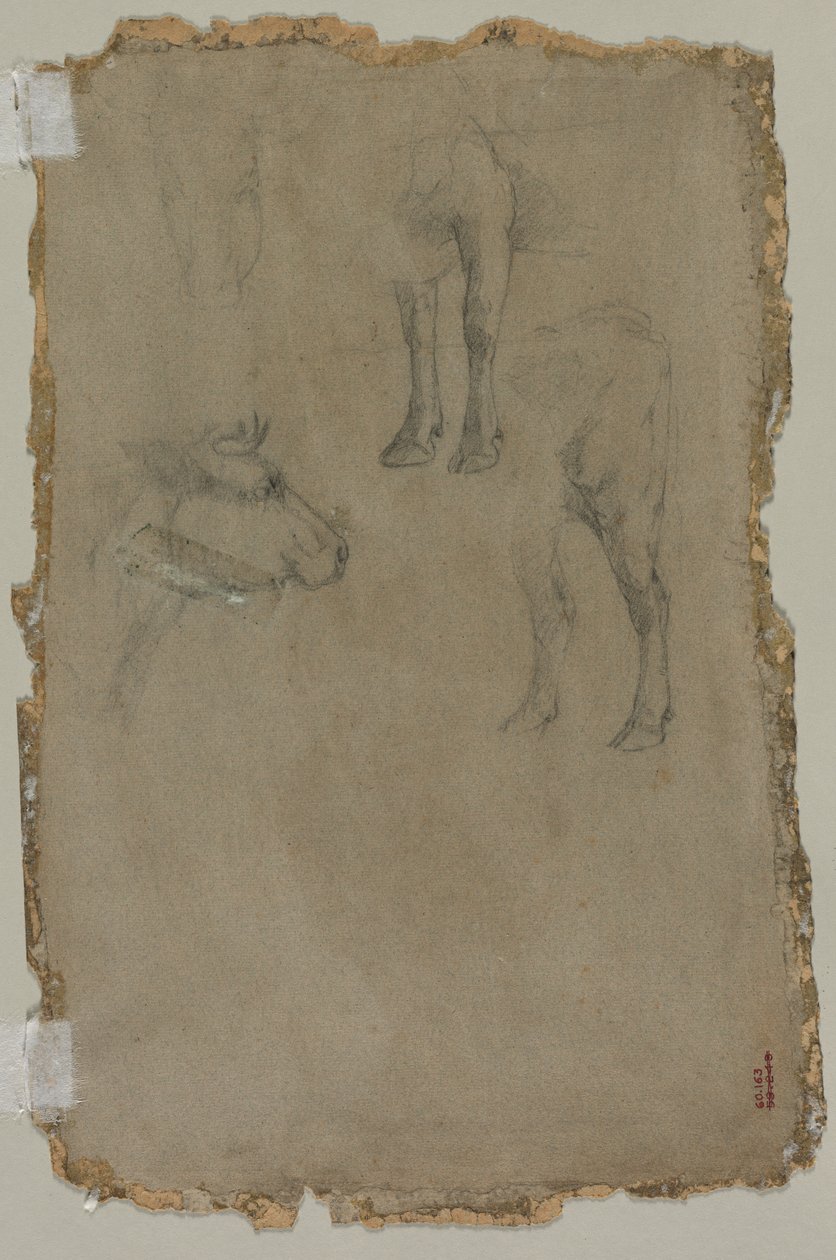 Tutkimuksia härästä (käänteinen) tekijältä possibly by Johan Barthold Jongkind