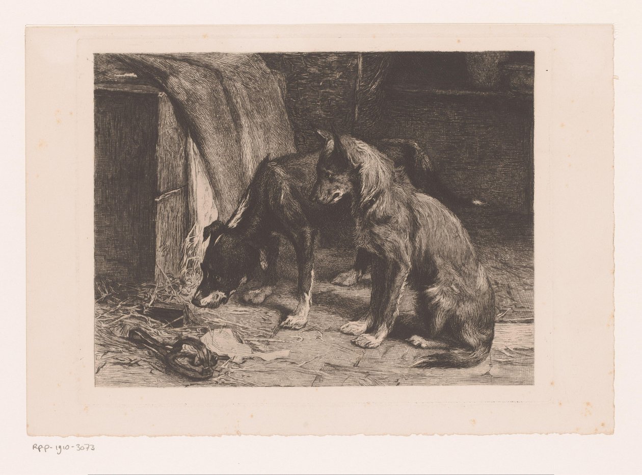 Kaksi koiraa rotan ansassa tekijältä van den Eyken (attributed to)