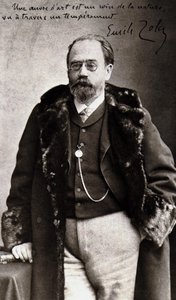 Nadarin muotokuva Emile Zolasta (1840 - 1902). tekijältä Nadar