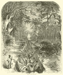 Neekerit töissä kanavalla, maaliskuu 1863 (kaiverrus)