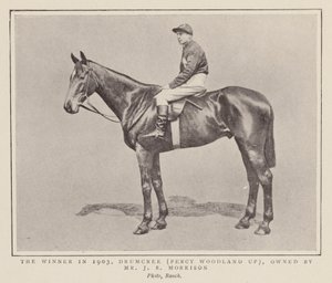 Drumcree, Grand Nationalin voittaja 1903 (s/w-kuva). tekijältä (after) English photographer