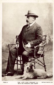 Edesmennyt kuningas Edward VII tämän suosikkikoiran Caesarin kanssa (m/w kuva)