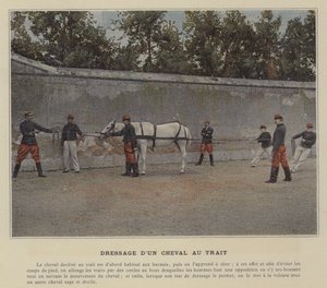 Luonnoshevosen kouluratsastus (värillinen kuva) tekijältä (after) French Photographer