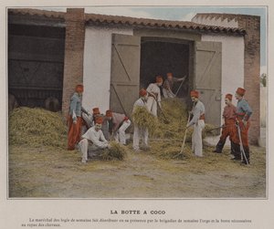La Botte a Coco (värillinen kuva) tekijältä (after) French Photographer