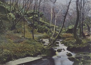Vaux de Cernay, Les Cascades (värillinen kuva) tekijältä (after) French Photographer