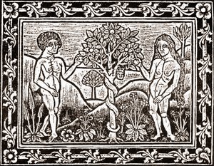 Puu, josta Adam söi omenan, faksimieli meditaatiokirjasta, ensimmäinen kirja, joka painettiin Albissa, Languedocissa, vuonna 1481 tekijältä (after) French School