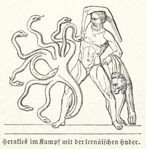Herakles taistelemassa Lernaen hydraa vastaan (kaiverrus) tekijältä (after) German School