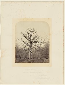 Kuningatar Annen tammi tekijältä 14th Earl of Caithness James Sinclair