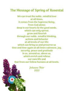 The Message of Spring of Rosental tekijältä Johanna Thier