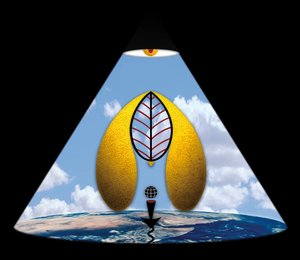 Im Anfang war das Wort (aus der Serie Lichtung) tekijältä Alexander Eibach