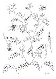 Bumblebee- ja Wildflower-tutkimus tekijältä june art