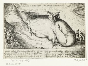 Vedos huuhtoutuneesta valasta lähellä Antwerpeniä, 2. heinäkuuta 1577 tekijältä A.B. van Deinse