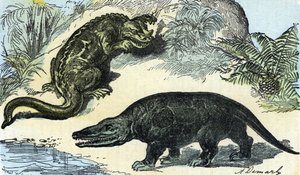 Esihistoria: iguanodonin ja megalosaurusten esitys liitukaudelta