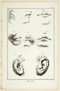Suunnittelu: Encyclopédien kasvojen anatomia