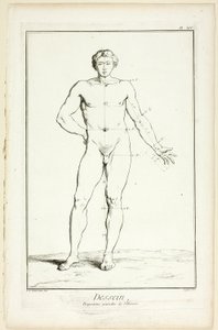 Suunnittelu: Encyclopédie: General Proportions of the Male, alkaen Encyclopédie